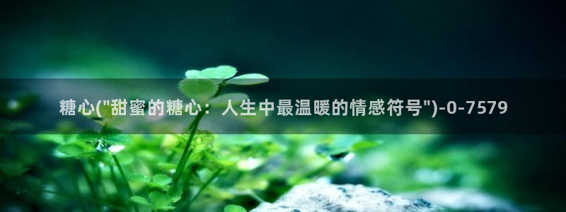 糖的vlog