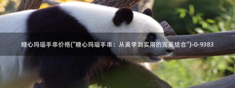 心糖vlog免费在线观看