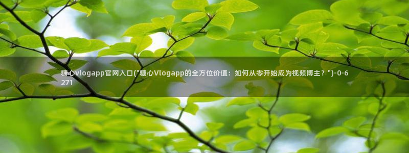 vlog糖心