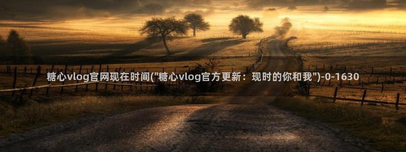 糖心vlog多乙