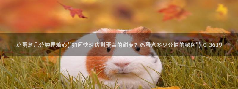 糖心vlog破解在线