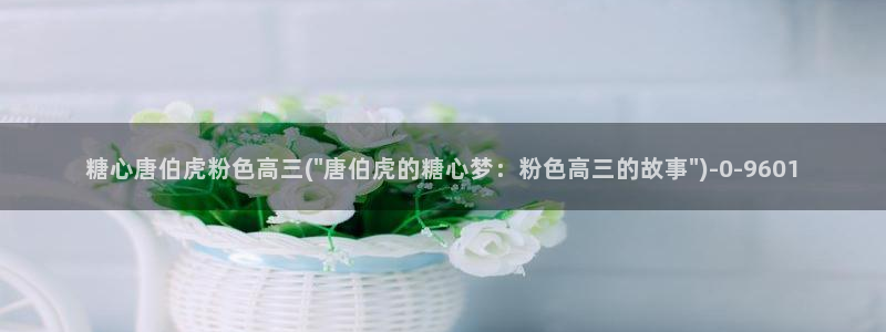 糖的vlog