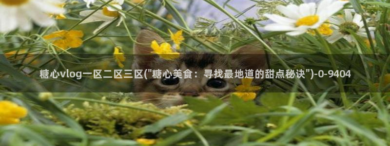 糖心vlog国产专区