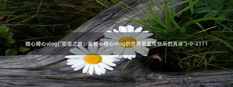 柚子猫糖心vlog胡桃