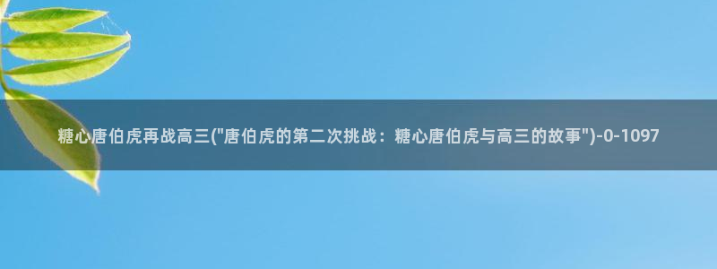 心糖vlog记录