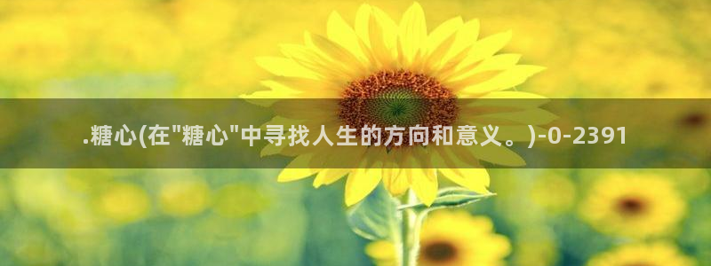 糖心vlog免费版观看