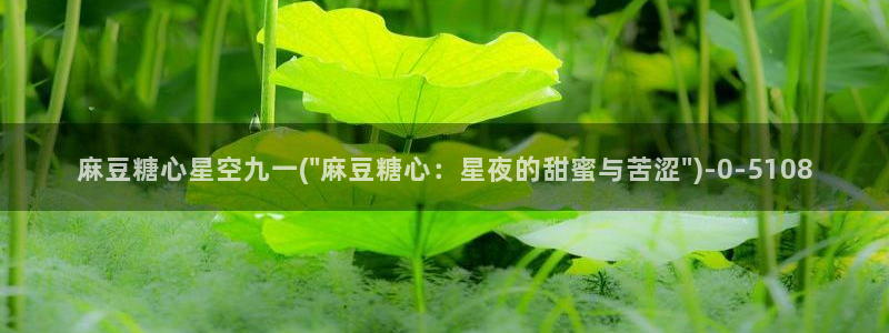 除了糖心vlog还有什么：麻豆糖心星空九一(\