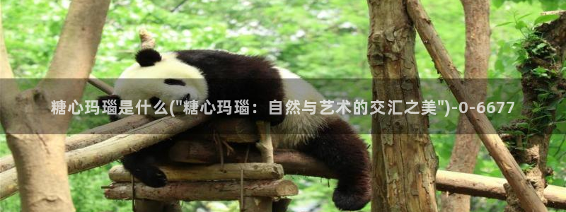 糖心vlog官网版
