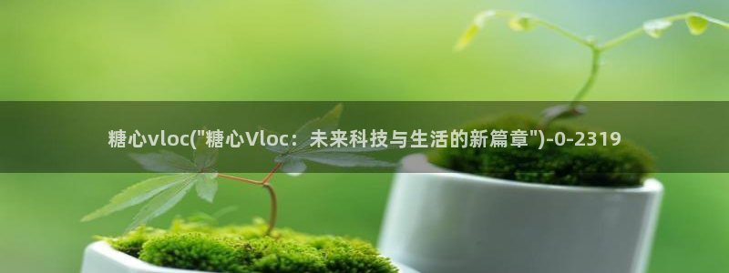 91糖心vlog