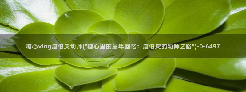 糖心vlog国产专区